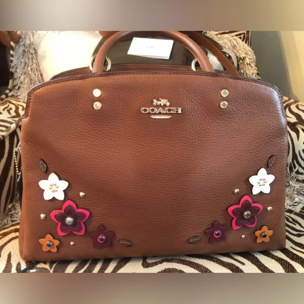 Coach Satchel Appliqué Brown Leather New - Picture 1 of 4